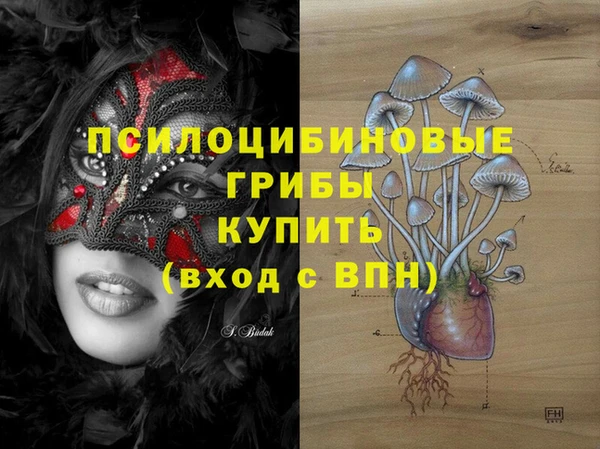 стаф Алексин