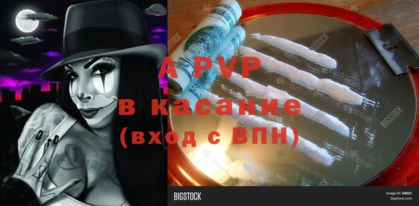 стаф Алексин