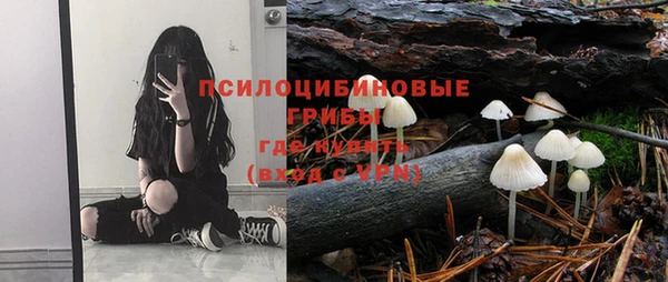 стаф Алексин