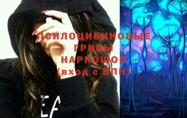 стаф Алексин