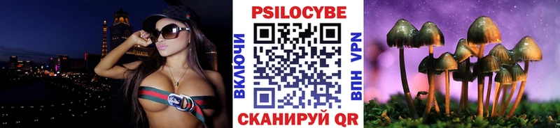 площадка формула  где продают   Сосновка  Галлюциногенные грибы мицелий 